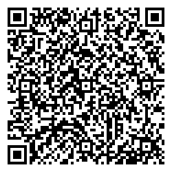 220 Вольт Гатчина Чехова, 11а qr контакты