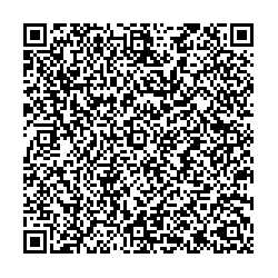 Beeline Городище ул. Промышленная, д.8а qr контакты