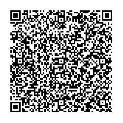 Beeline Луга пр-кт Урицкого, д. 48а qr контакты