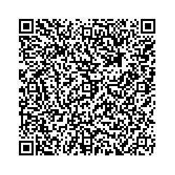 DNS Советский ул. Гастелло, 19а qr контакты