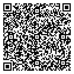 DNS Тосно Боярова, 4а qr контакты