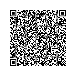 DNS Железнодорожный ул.Советская д.5. qr контакты