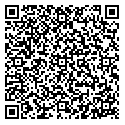 Кари Семилуки ул. Дзержинского, 9 qr контакты