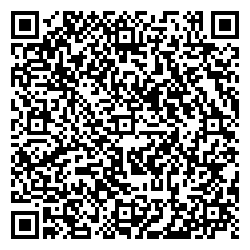 Silver Spoon Тольятти Революционная ул. 52А qr контакты