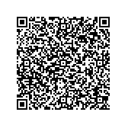 Vseinstrumenti.ru Курчатов ул. Энергетиков, д.38 qr контакты